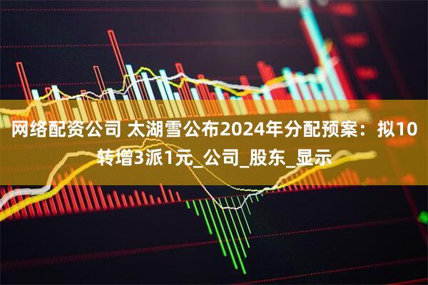 网络配资公司 太湖雪公布2024年分配预案：拟10转增3派1元_公司_股东_显示