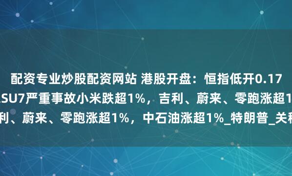 配资专业炒股配资网站 港股开盘：恒指低开0.17%科指跌0.16%！小米SU7严重事故小米跌超1%，吉利、蔚来、零跑涨超1%，中石油涨超1%_特朗普_关税_指数
