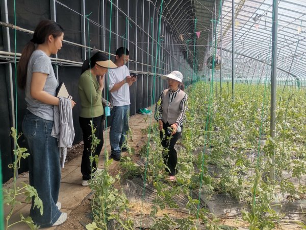 可转债配资业务 北京：“银龄”专家助力延庆区产业升级