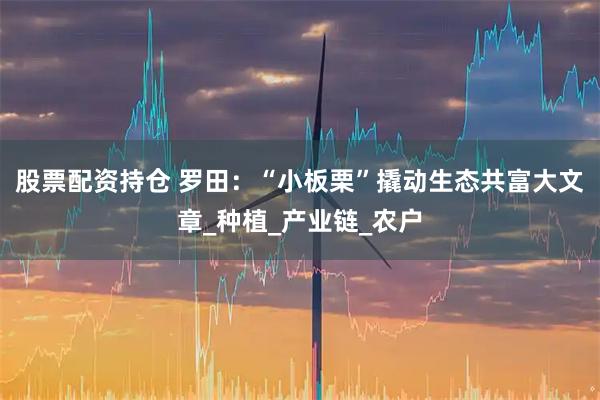 股票配资持仓 罗田:“小板栗”撬动生态共富大文章_种植_产业链_农户